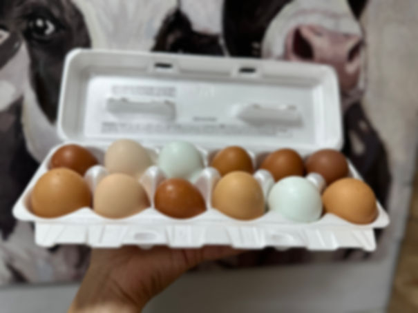 Farm Fresh Eggs
