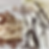 Stracciatella