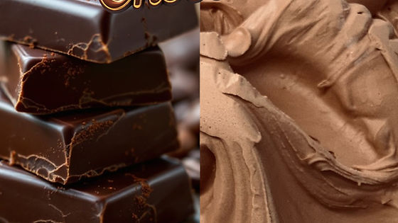Glace Chocolat 0,5L