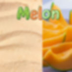 Sorbet Melon 0,5L