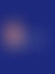 Lillee Jean Trueman: Gratitude to France | The International Support for Project Bullyish