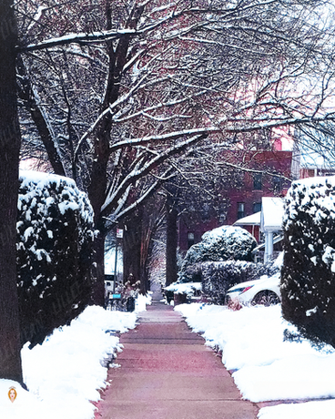 Winter Road - Photography by Lillee Jean Trueman