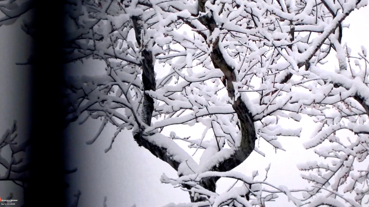 Still of Cloud Snow In New Winter by Director Lillee Jean Trueman
