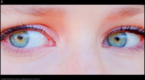 The Mission is Complete, Angelique. REG: PA0002559617