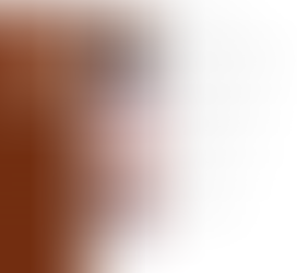 Belgian criminal divison.