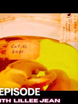 Lillee Jean American Museum of Natural History | Voyager With Lillee Jean