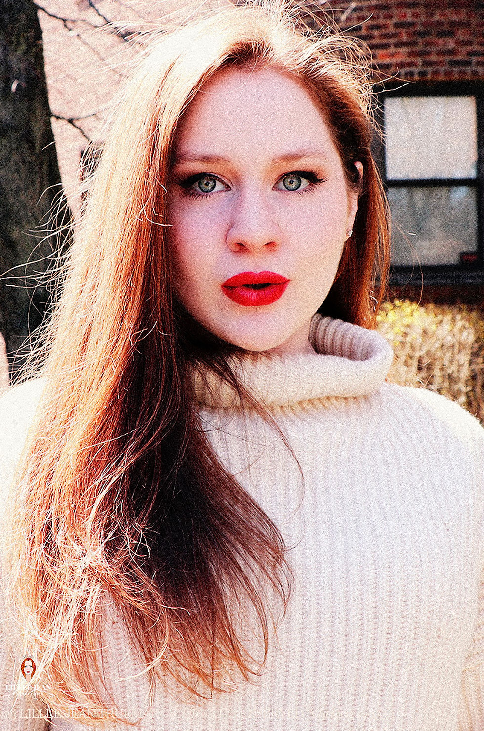 © 2023 Lillee Jean Trueman. All Rights Reserved. VA0002499353.