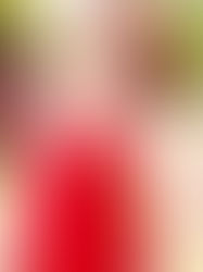 Lillee Jean Official Archive: Conceptual Production Stills in Red (May 2024)