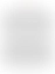 Lillee Jean Trueman Communiqué de presse officiel 28 septembre 2025