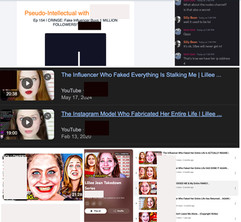 CRIME: IP STOLEN, AGG. HARASSMENT