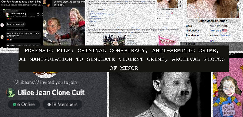 How Hate-for-Profit Syndicates Build a "Character" Out of a Human | Project: Bullyish by Lillee Jean Trueman
