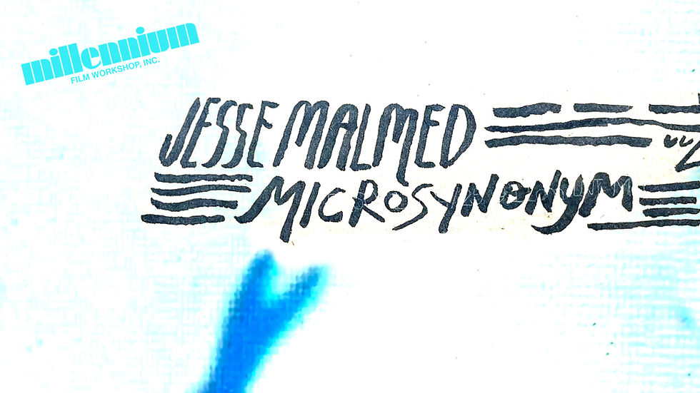Jesse Malmed: Micro Synonym