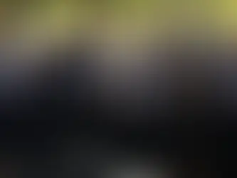 9/11 Again: Terrorism In Review