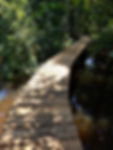 Finished bridge with ana caspi planks