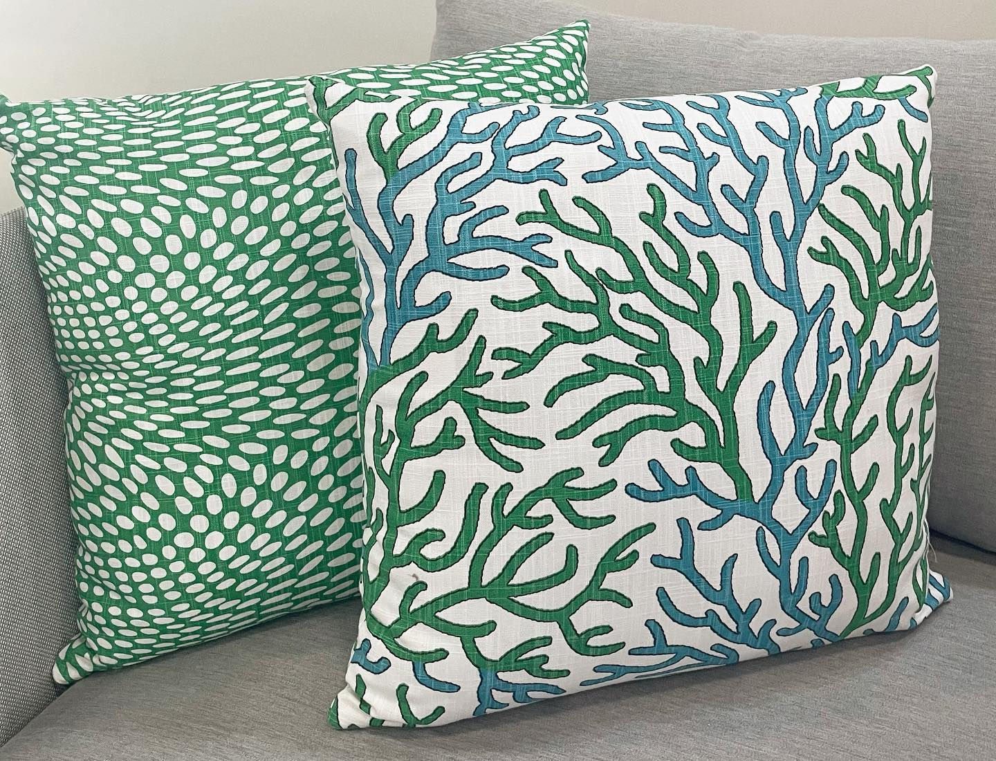 Coral Reef & Arnava Throw Cushion