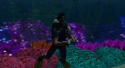 11407146_839538822783039_4868122815055746197_n