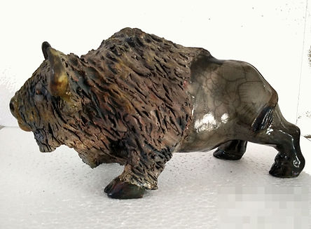 bison-2018.jpg