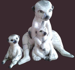 suricates copie
