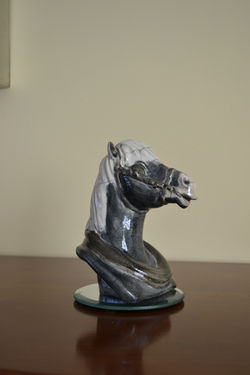 buste de cheval