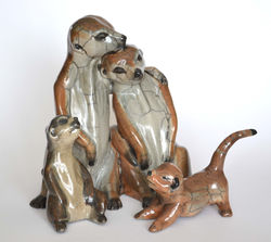 famille suricate VUE2