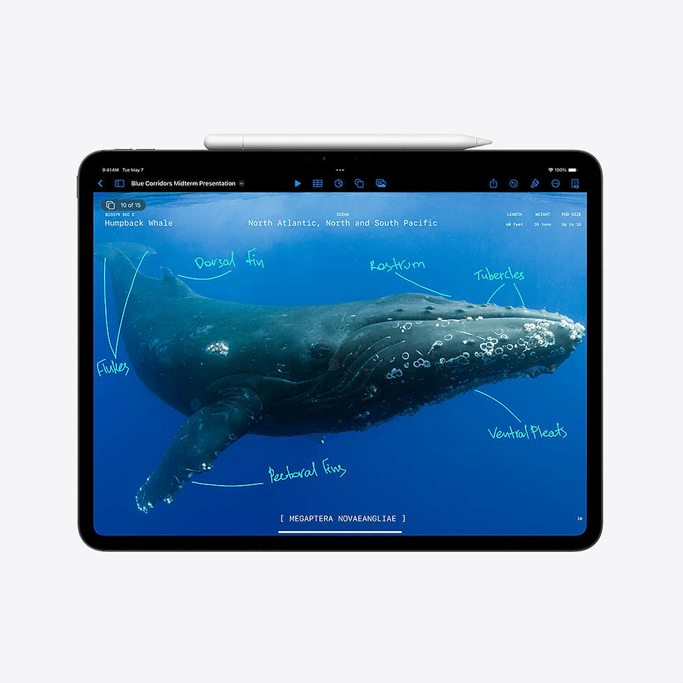 Miniatură: iPad Pro 13-inch cu chip M4, 1TB, WiFi, Silver