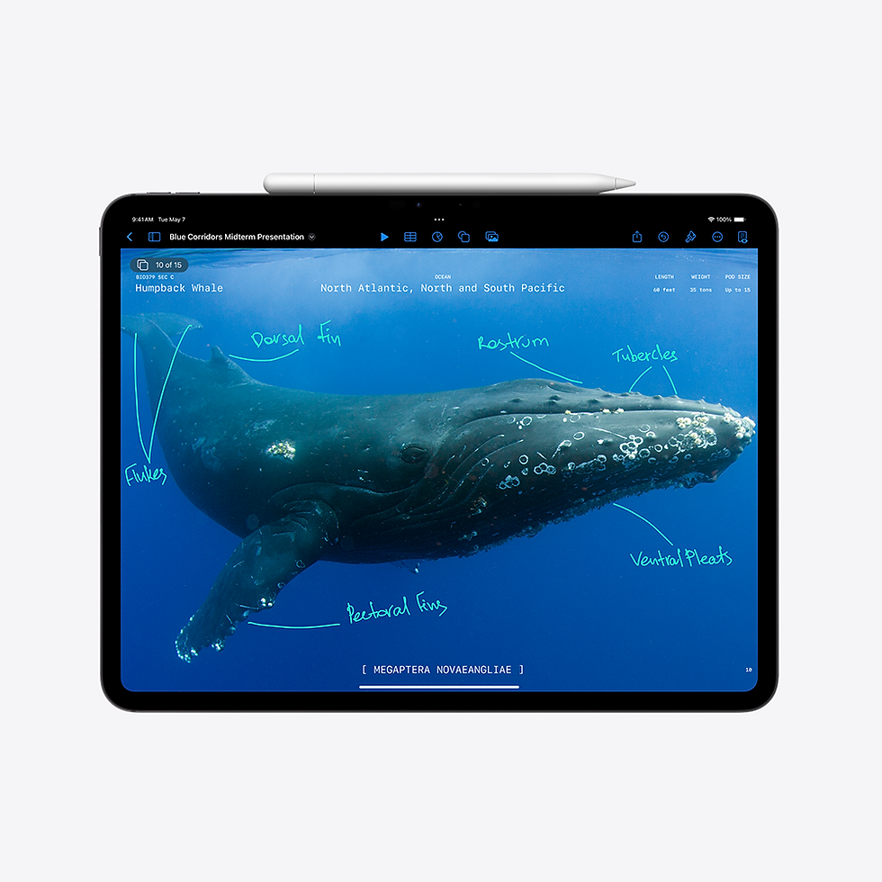 Indexkép: iPad Pro 13-inch M1 WiFi 1TB Space Black – Performanță Excepțională