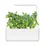 Indexkép: Törpe zöldborsó a Click & Grow Smart Gardenhez – 3 darabos készlet