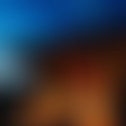 2021年2月11日の月命日