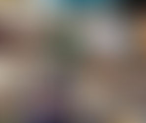 クレジットカードによる毎月の定額寄付に対応いたしました。