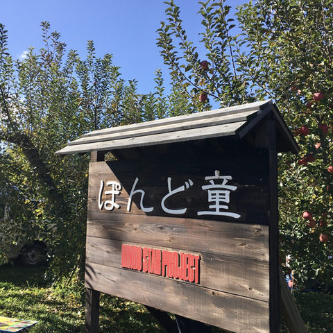 2021年最後のリンゴスタープロジェクト　ぽんど堂さんでサンフジりんごを収穫してきました！