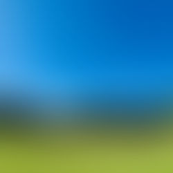 3/10(月)「希望のさるすべり」植樹式開催 @双葉町