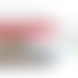 ラブフォーニッポンからのご報告