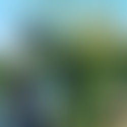 リンゴスタープロジェクト（台風19号に関する活動レポート15）