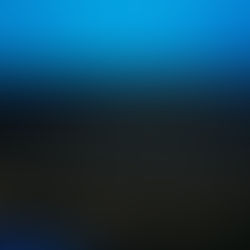 ラブフォーニッポン現地活動報告　2022年3月11日