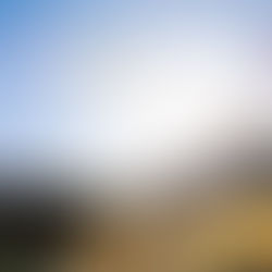 SOTE311 2021 LFNカフェにてリンゴスタービールを販売いたしました！！