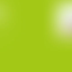 10/16(土)SOTEシンポジウム開催報告、10/17(日)リンゴスタープロジェクトレポート