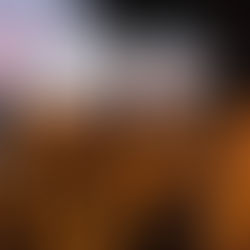 2022年10月11日月命日