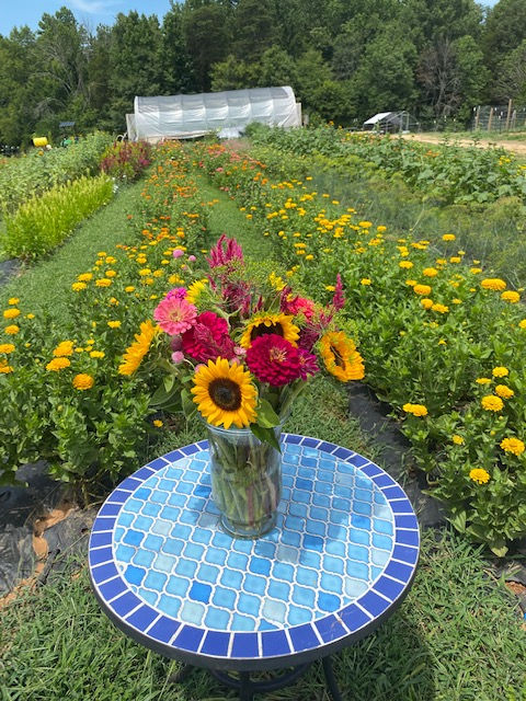 Summer 2026 Farm Tour and Floral Design Class- Sundays