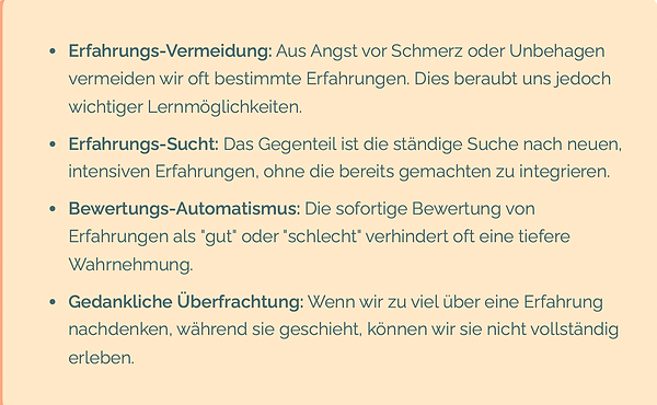 Bildschirmfoto 2025-12-23 um 08.53.22.png