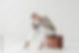 AdobeStock_210159228_Preview.jpeg