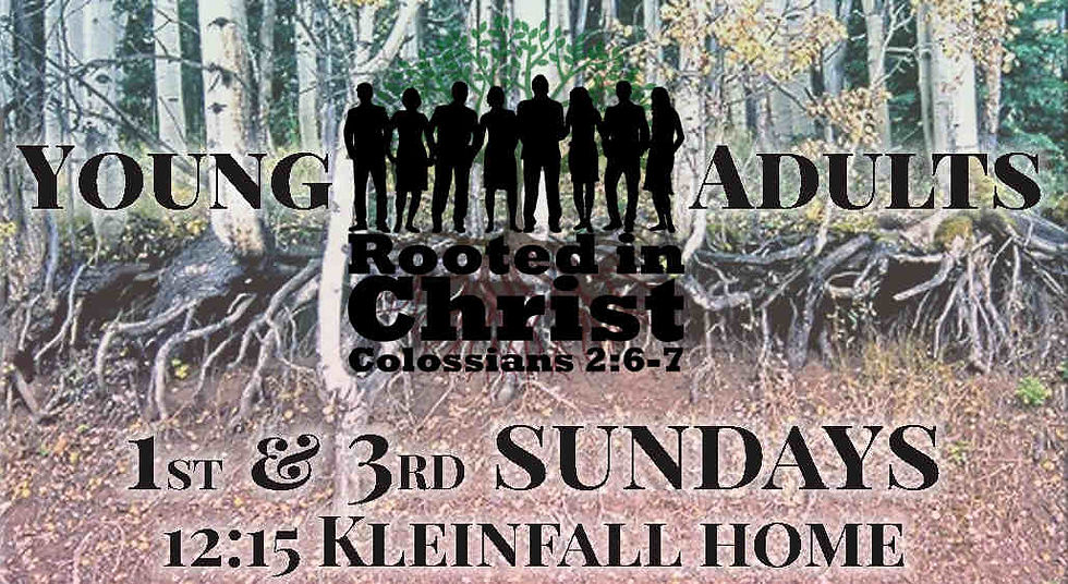 rooted_2018-12-23_web