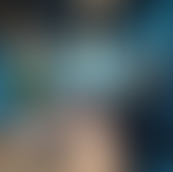 The CEO’s Guide to Successful Business Adaptation: Resilience through Transformation