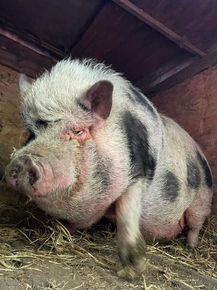 PHOTO-2022-09-14-22-28-09 (1).jpg