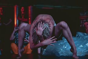 Gray Box Projects - Sorry Not Sorry