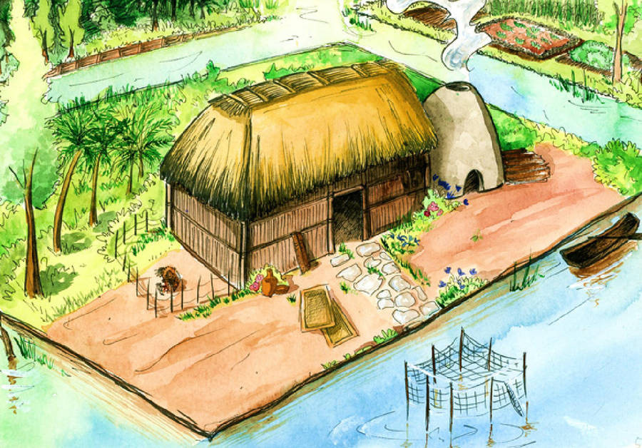 House In The Chinampas