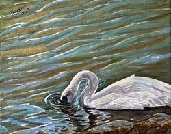 Swan Lake 2 - Acrylic on Canvas (8"x 10")
