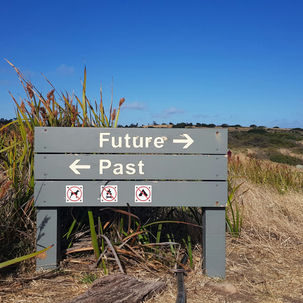 告別綠色聲量：2026 年聰明獲利的四個永續規則