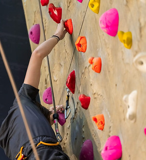 WhatsApp Image 2024-07-26 at 04.16.26(1).jpeg