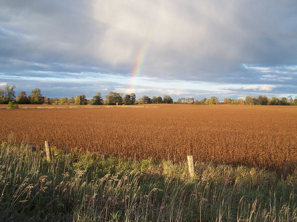 Rainbow over Bobcaygeon