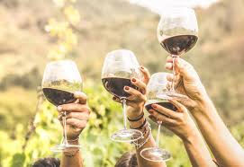 Vintage Ohio Wine Festival 